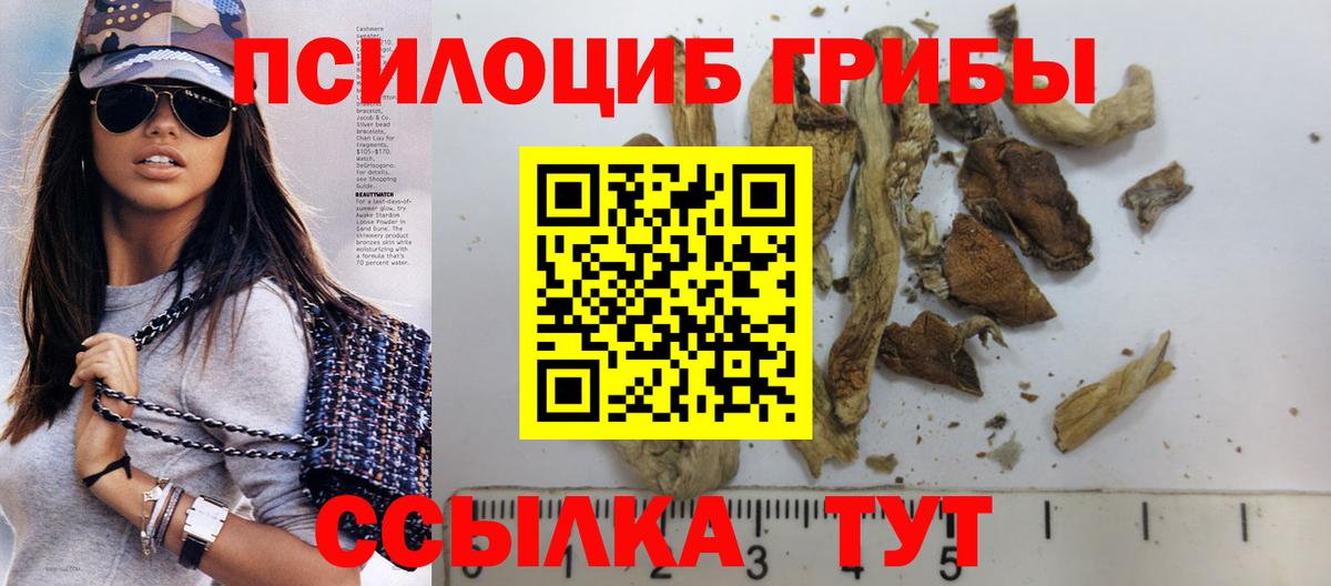 Псилоцибиновые грибы Psilocybine cubensis  Галлюциногенные грибы MAGIC MUSHROOMS  Вход с VPN  дарнет шоп  Стрежевой 